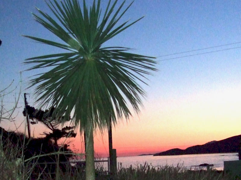Sunset from our Gardens